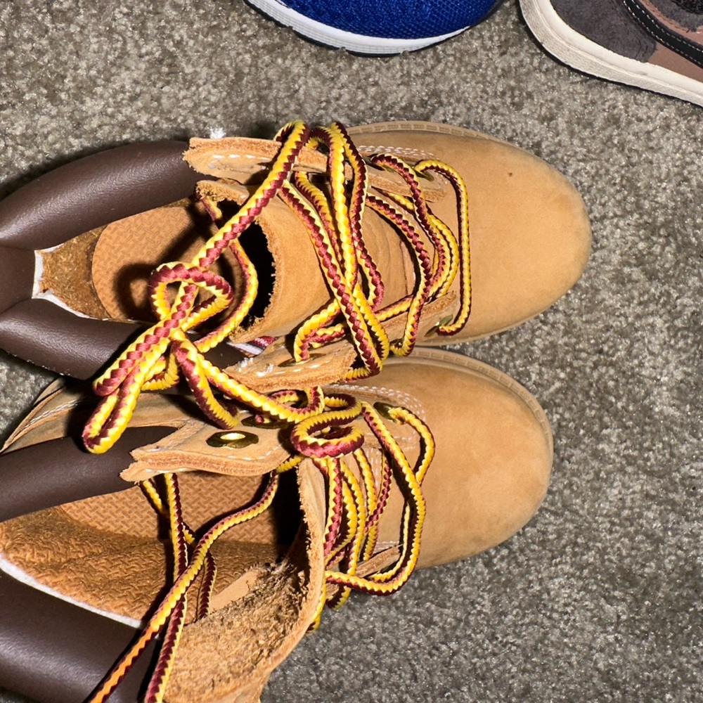7.5 toddler boy wheat timberland